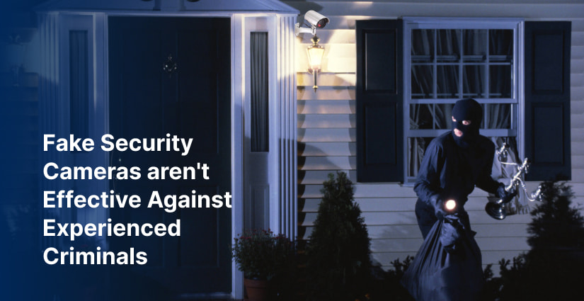 fake surveillance cameras can have some effect as a deterrent cornerstone protection