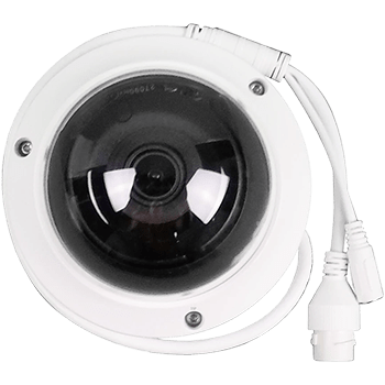 indoor/outdoor dome security camera cornerstone protection